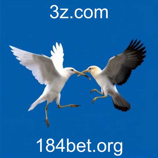 184bet